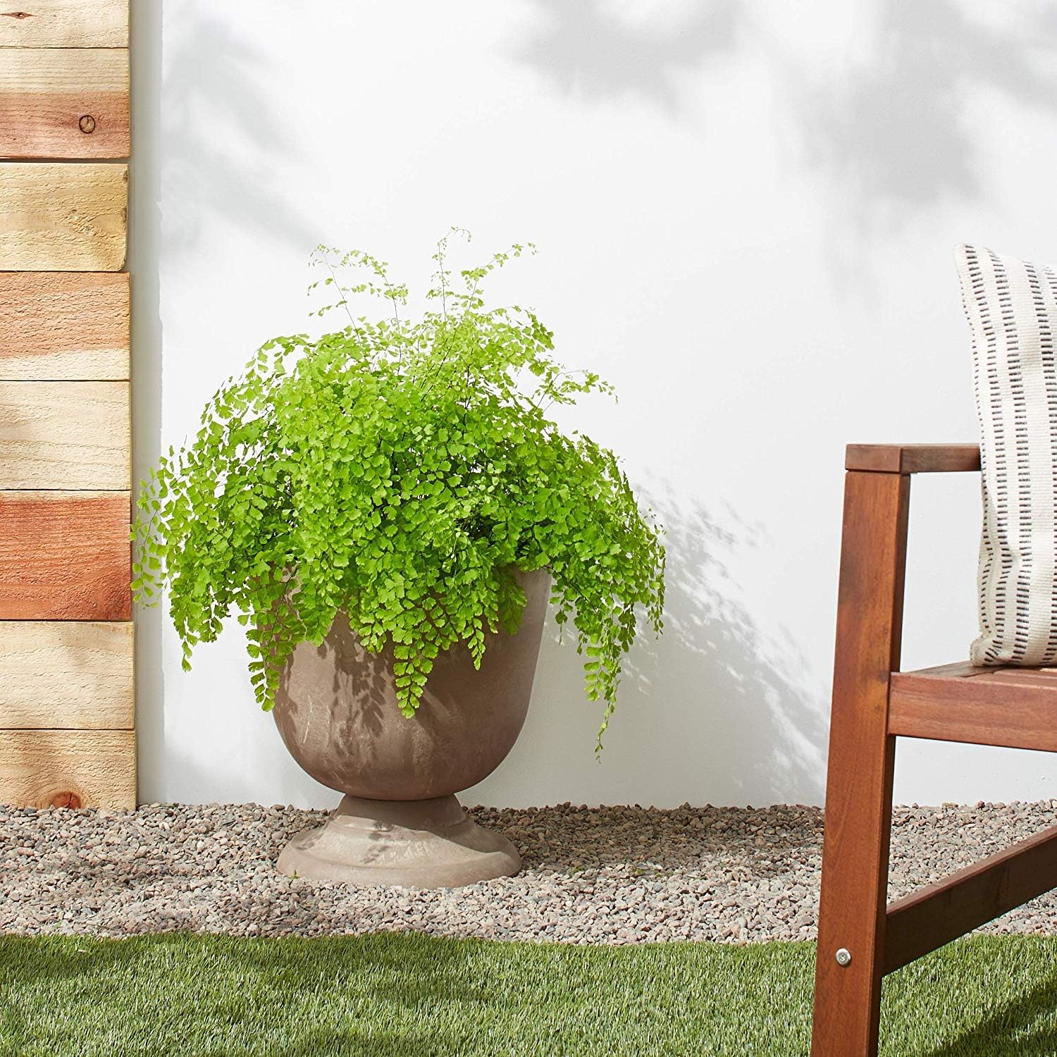 屋久杉 無垢材 芝実作 飾り壺 貴重！屋久杉 無垢材 芝実作 飾り壺 楽天